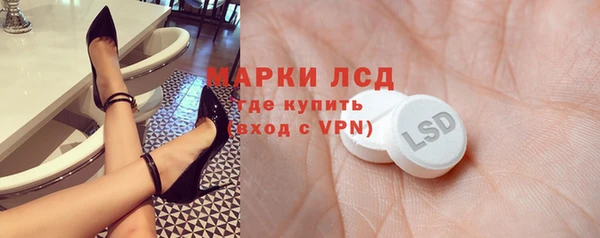 стаф Гусев