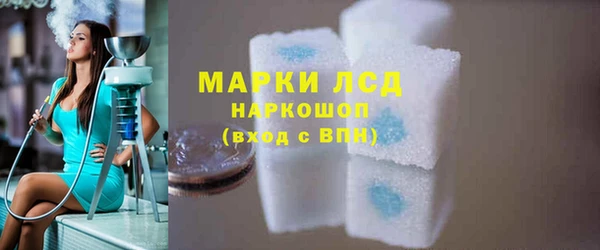 стаф Гусев