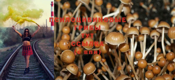 альфа пвп VHQ Гусиноозёрск