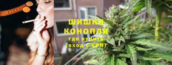 стаф Гусев