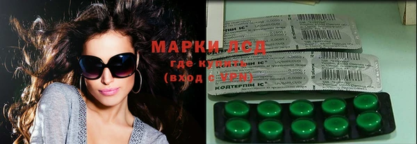 стаф Гусев
