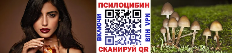 Галлюциногенные грибы Cubensis  Купить закладки  Киренск 